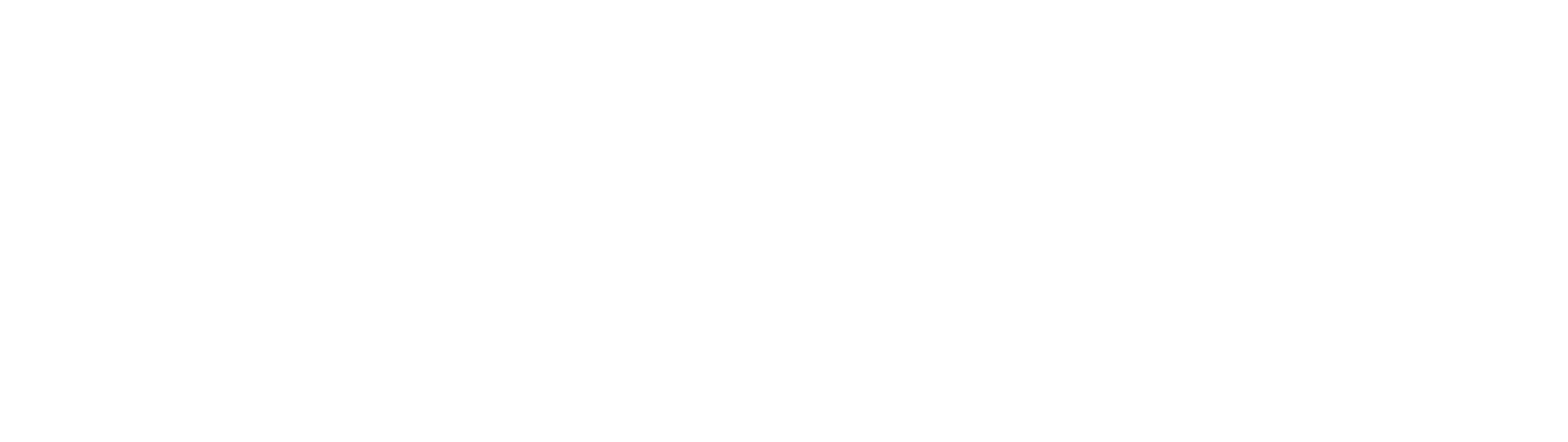 Francis Web Agency